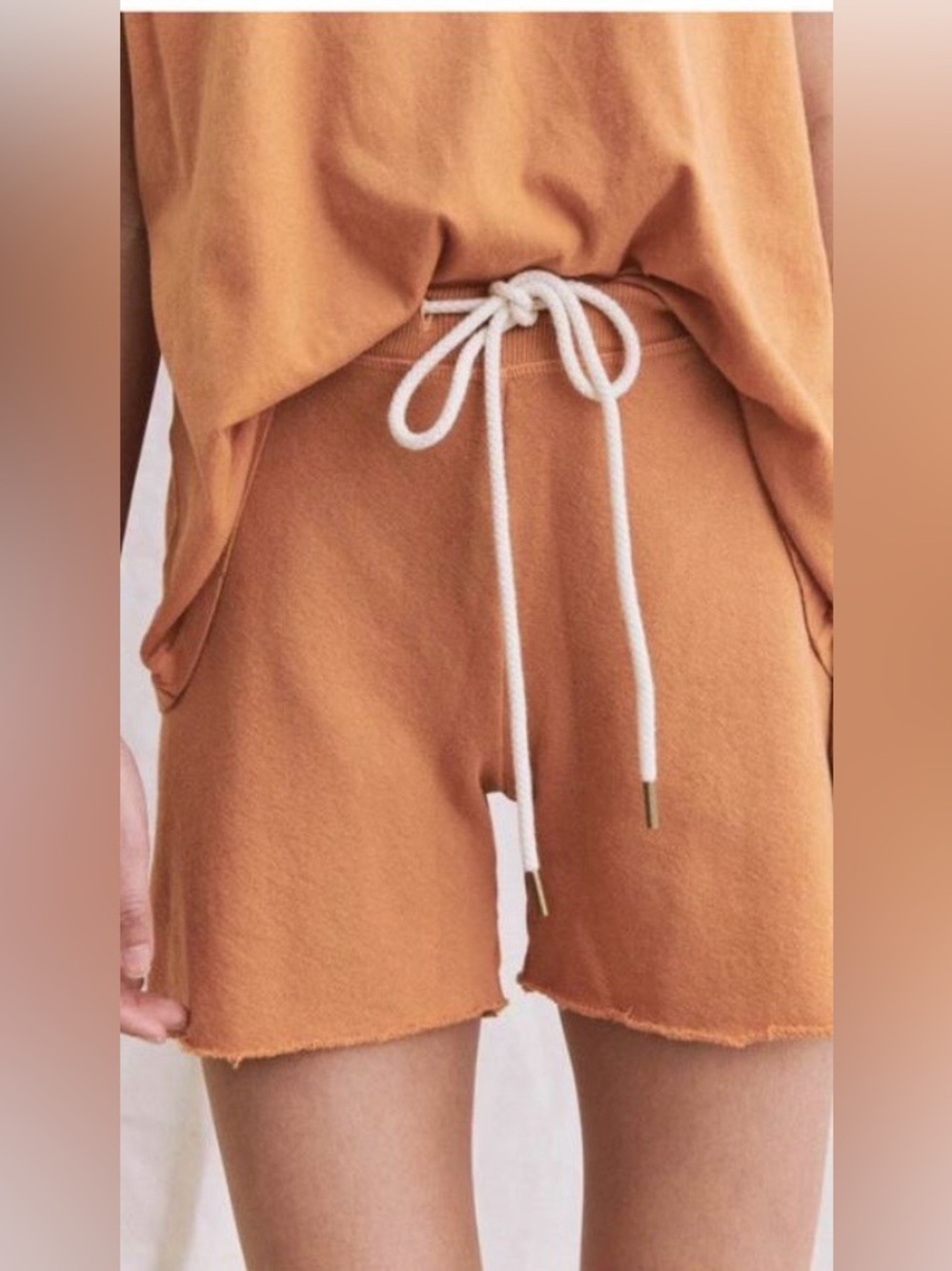 NWT THE GREAT CUTOFF THE SWEAT SHORT IN POWDR SZ 3/L